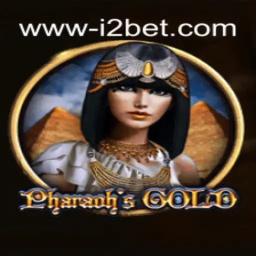 i2BET A Plataforma de Apostas #1 do Brasil Casino App
